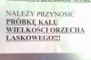 Teraz już wiesz
