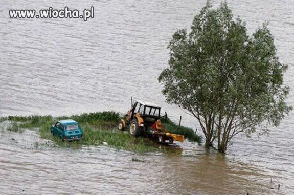 Zielona wyspa premiera.