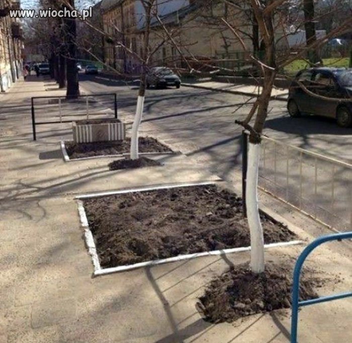 Prawie się udało