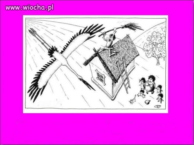 Już mi dzieci wystarczy.