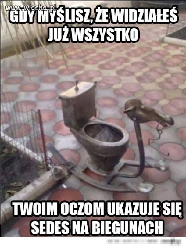 Nowa zabawka dla dzieci