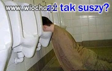 Suszy chłopaka