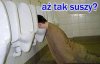 Suszy chłopaka