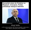 Już niedługo wybory