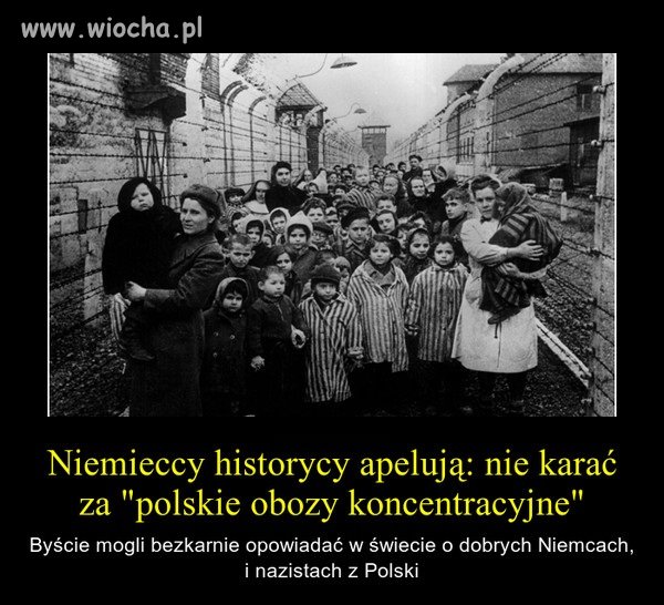 Niemieccy historycy apelują