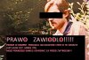 Prawo zawiodło 