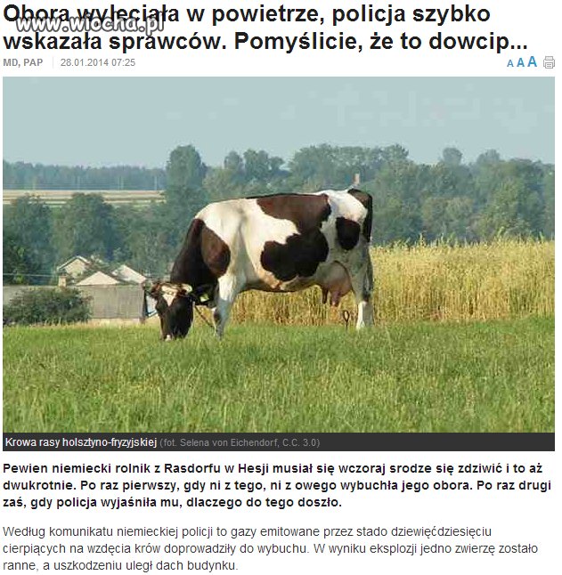 Adam nie wstydź się
