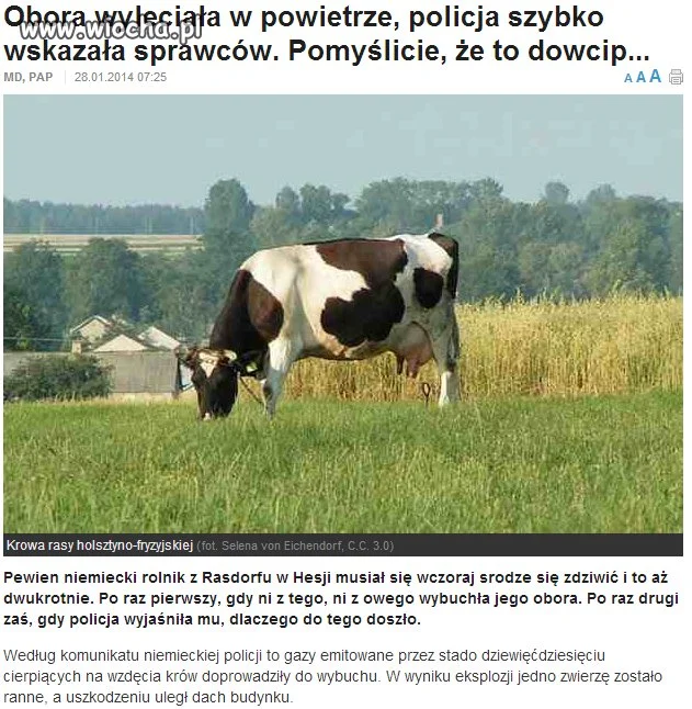 Adam nie wstydź się