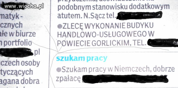 Szukam pracy