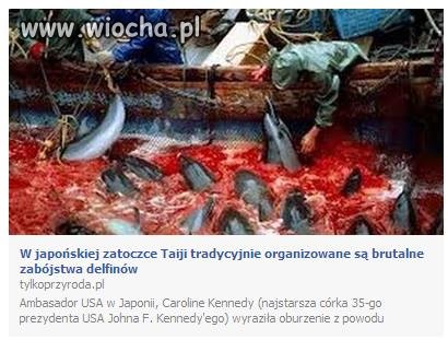 Zastanawiam się jak człowiek może być tak okrutny