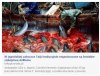 Zastanawiam się jak człowiek może być tak okrutny