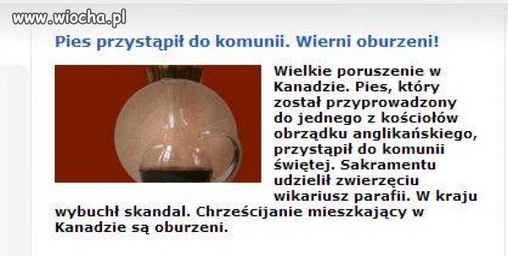 Pies przystąpił do komunii. 