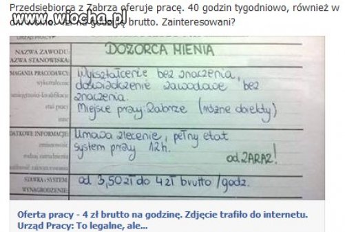 Oferta pracy to tylko w Polsce.