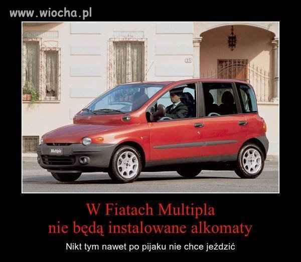 Coś w tym jest-co racja