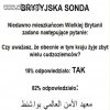 Brytyjska sonda