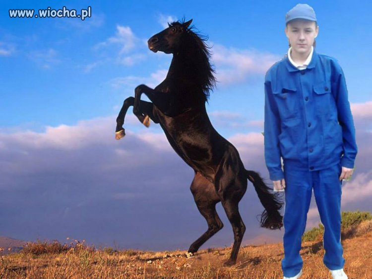 Mistrzunio Photoshop-a