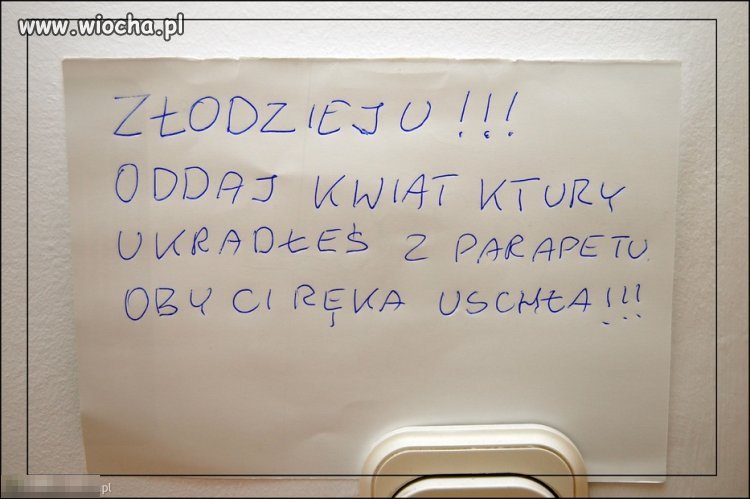 Pewnie dla dziewczyny kwiatek 