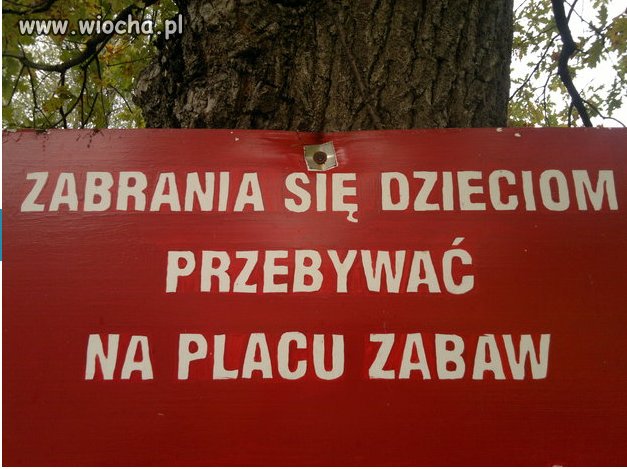 Kwintesencja głupoty.