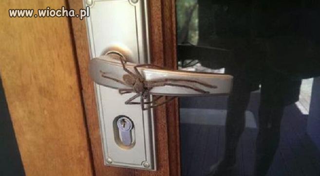 Nie martw się