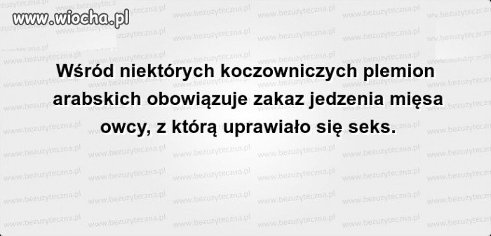 To żadnej owcy włos z głowy  nie spadnie