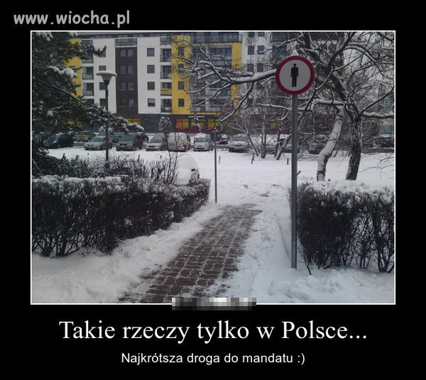 Takie rzeczy tylko w Polsce...