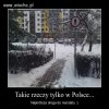 Takie rzeczy tylko w Polsce...
