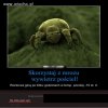 Roztocza