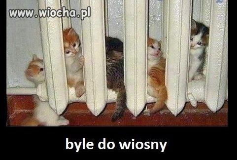 Byle do wiosny