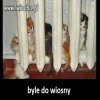 Byle do wiosny