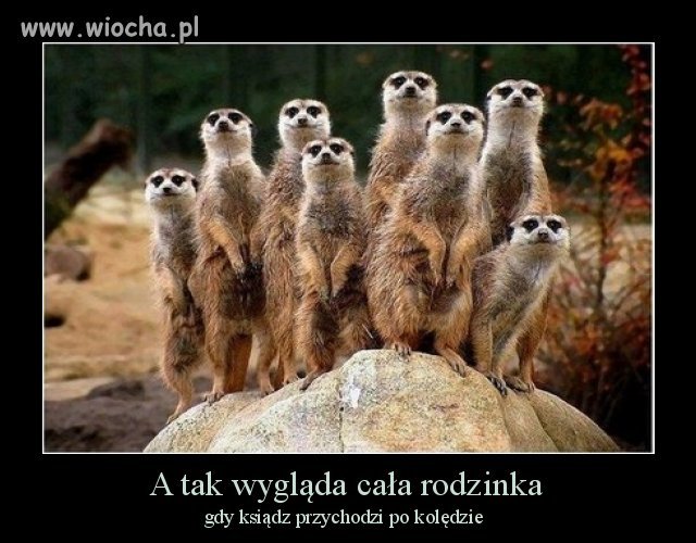 W każdym bądź razie pół dnia zje..ne!