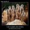 W każdym bądź razie pół dnia zje..ne!