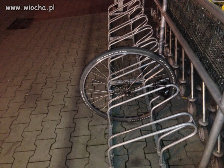 W Oleśnie tyle z roweru