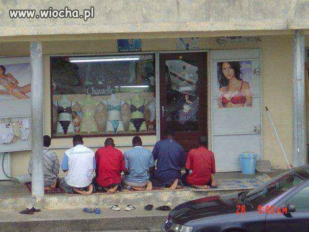 Modlitwa  do witryny