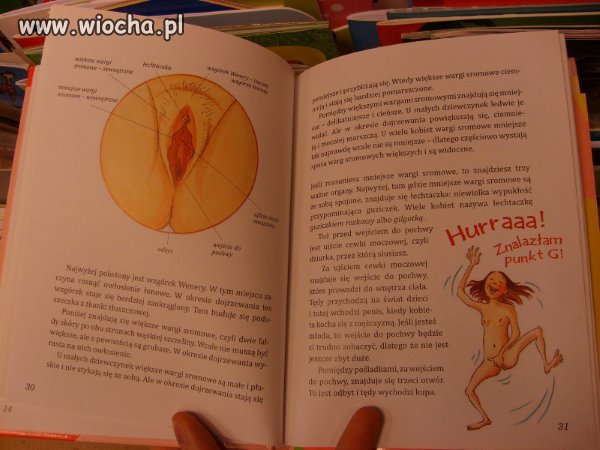Podręcznik dla Dzieci Szkół Podstawowych