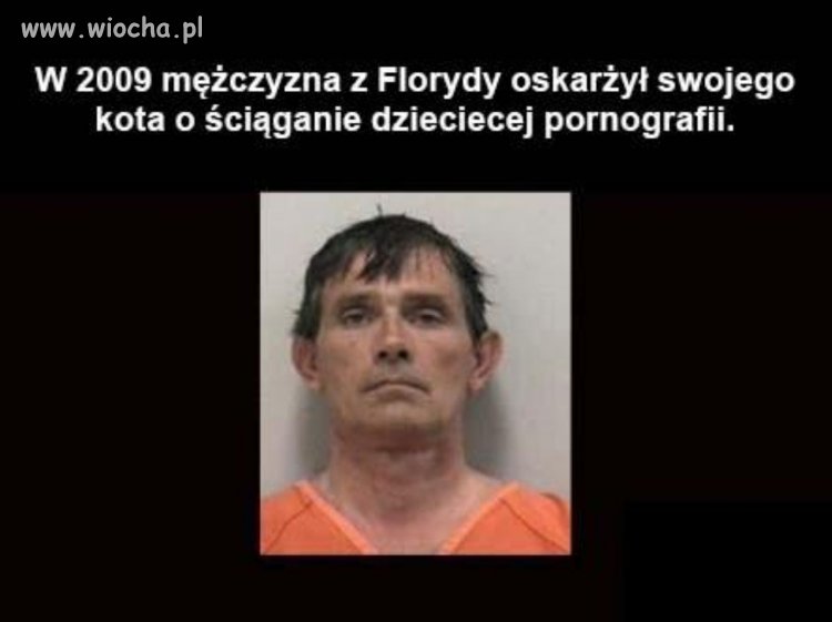 Mentalność niektórych userów 