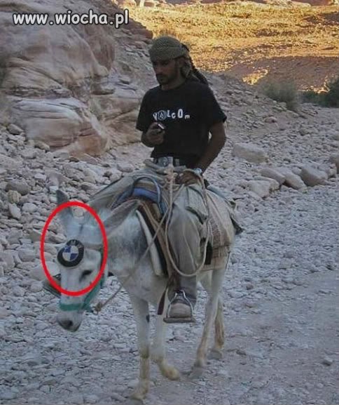 Mowy model BMW