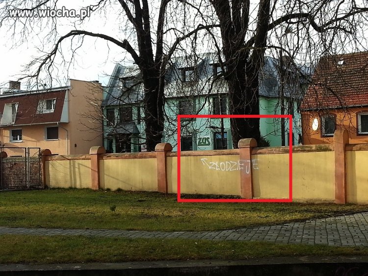 Zdjęcie roku 2013.
