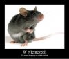 W Niemczech   