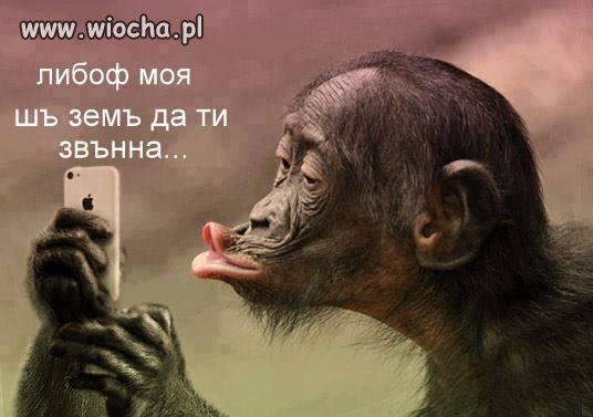 I love you