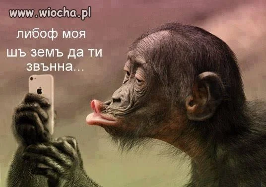 I love you