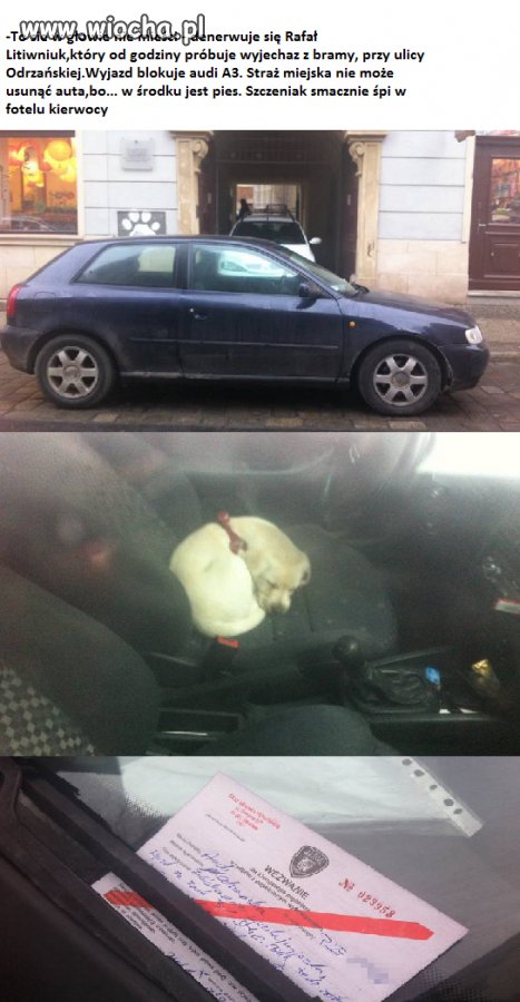 Audi od kilku godzin blokuje bramę.