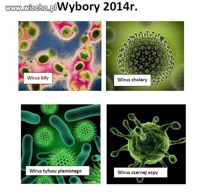 W 2014r. wybory samorządowe i do parlamentu UE