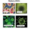 W 2014r. wybory samorządowe i do parlamentu UE