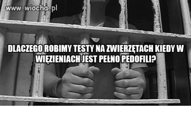 Dobre pytanie