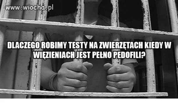Dobre pytanie