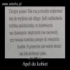 Chyba koleś ma rację
