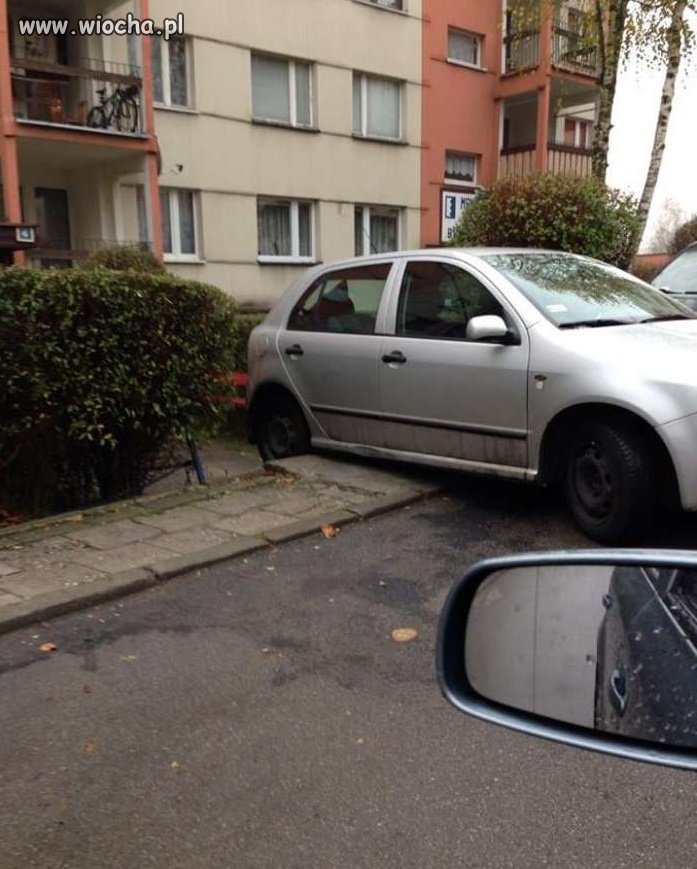 Mistrz kierownicy i parkowania