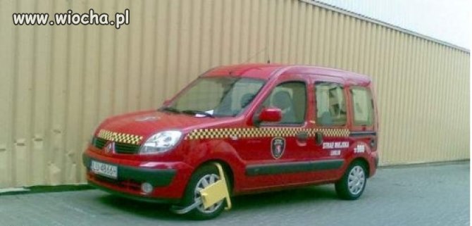 Świnie, a nie koledzy