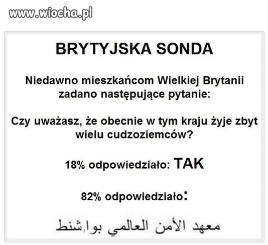 Za dużo cudzoziemców?
