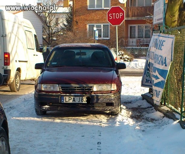 Debil z Parczewa